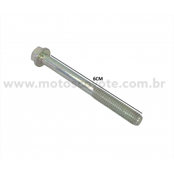 PARAFUSO 6X60 CH 8