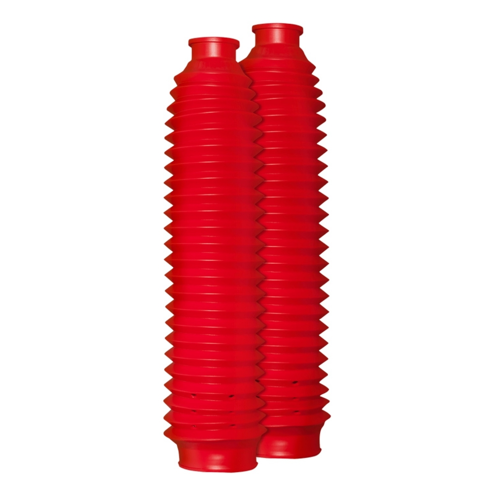 SANFONA BENGALA 24 DENTES VM