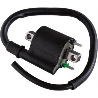 BOBINA IGNICAO FAN 125 09-13