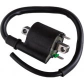 BOBINA IGNICAO FAN 125 09-13