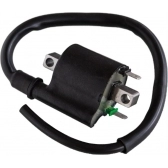 BOBINA IGNICAO FAN 125 09-13