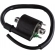 BOBINA IGNICAO FAN 125 09-13