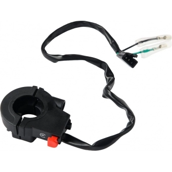 INTERRUPTOR PART. FAN 125 09-13
