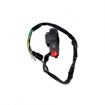 INTERRUPTOR PART. TITAN 150 09-10 ES MIX