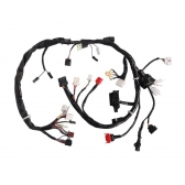 CHICOTE PRINCIPAL TITAN 150 09-10 ES/ESD