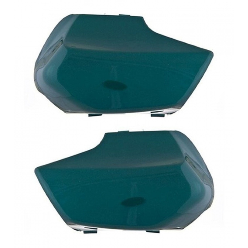 PROTETOR GARFO BIZ 100 VERDE 02