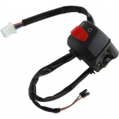 INTERRUPTOR PART. FAZER 250 -10