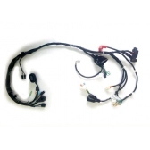 CHICOTE PRINCIPAL FAN 125 14-15 KS