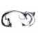 CHICOTE PRINCIPAL FAN 125 14-15 KS