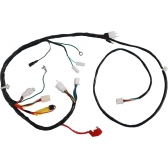 CHICOTE PRINCIPAL BIZ 100 00-01 KS