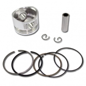 PISTAO C/ ANEIS CRYPTON 115 09-