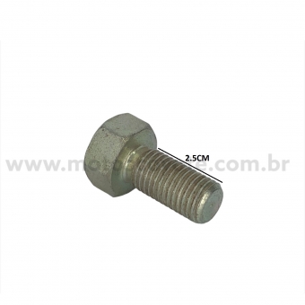 PARAFUSO 12X25 CH 19