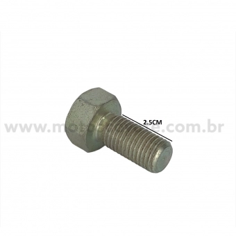PARAFUSO 12X25 CH 19