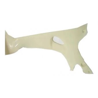 PROTETOR PERNAS WEB/EVO INF DIR S/PINTURA