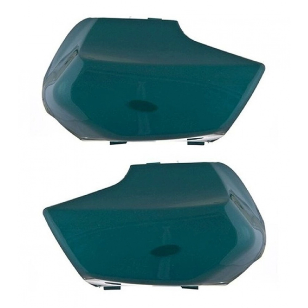 PROTETOR GARFO BIZ 100 VERDE 00