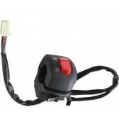 INTERRUPTOR PART. YBR 125 ED 06/08