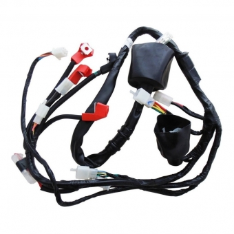 CHICOTE PRINCIPAL SHIN PHOENIX-50