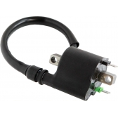 BOBINA IGNICAO TITAN 150 09- MIX/FLEX/ FAN 150 09-