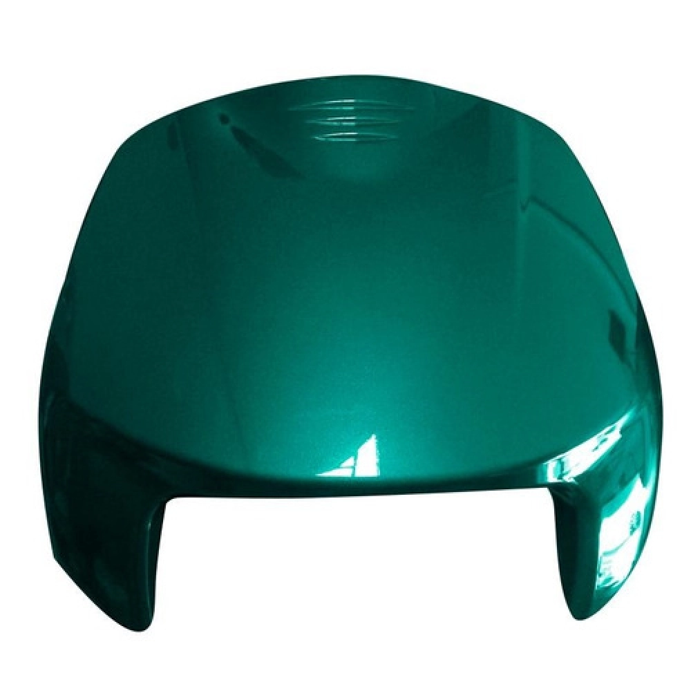 BICO FRONTAL BIZ 100 VERDE 02