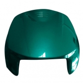 BICO FRONTAL BIZ 100 VERDE 02